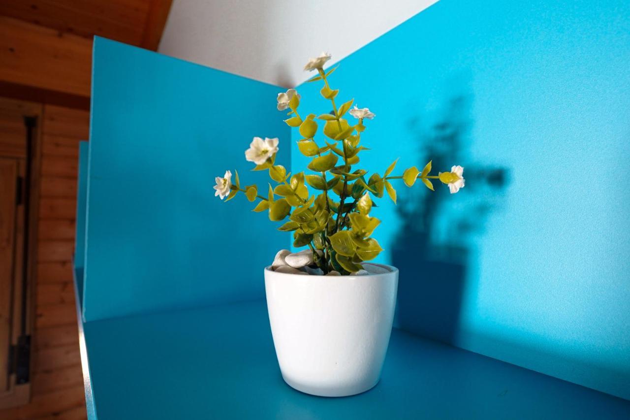 Casa La Pau Holiday home *