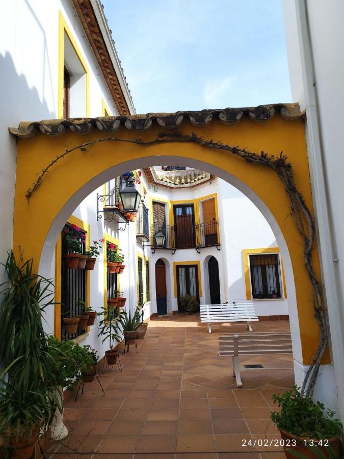 Apartamento Atico Muy Luminoso En El Casco Antiguo *