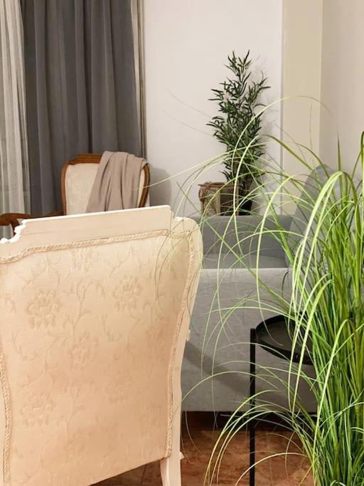 In Spacious Flat In Apartamento