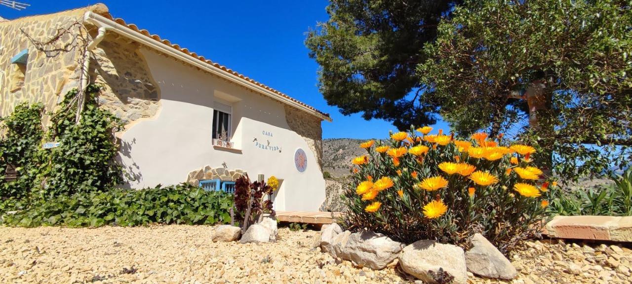 Bed and breakfast Casa Pura Vida *