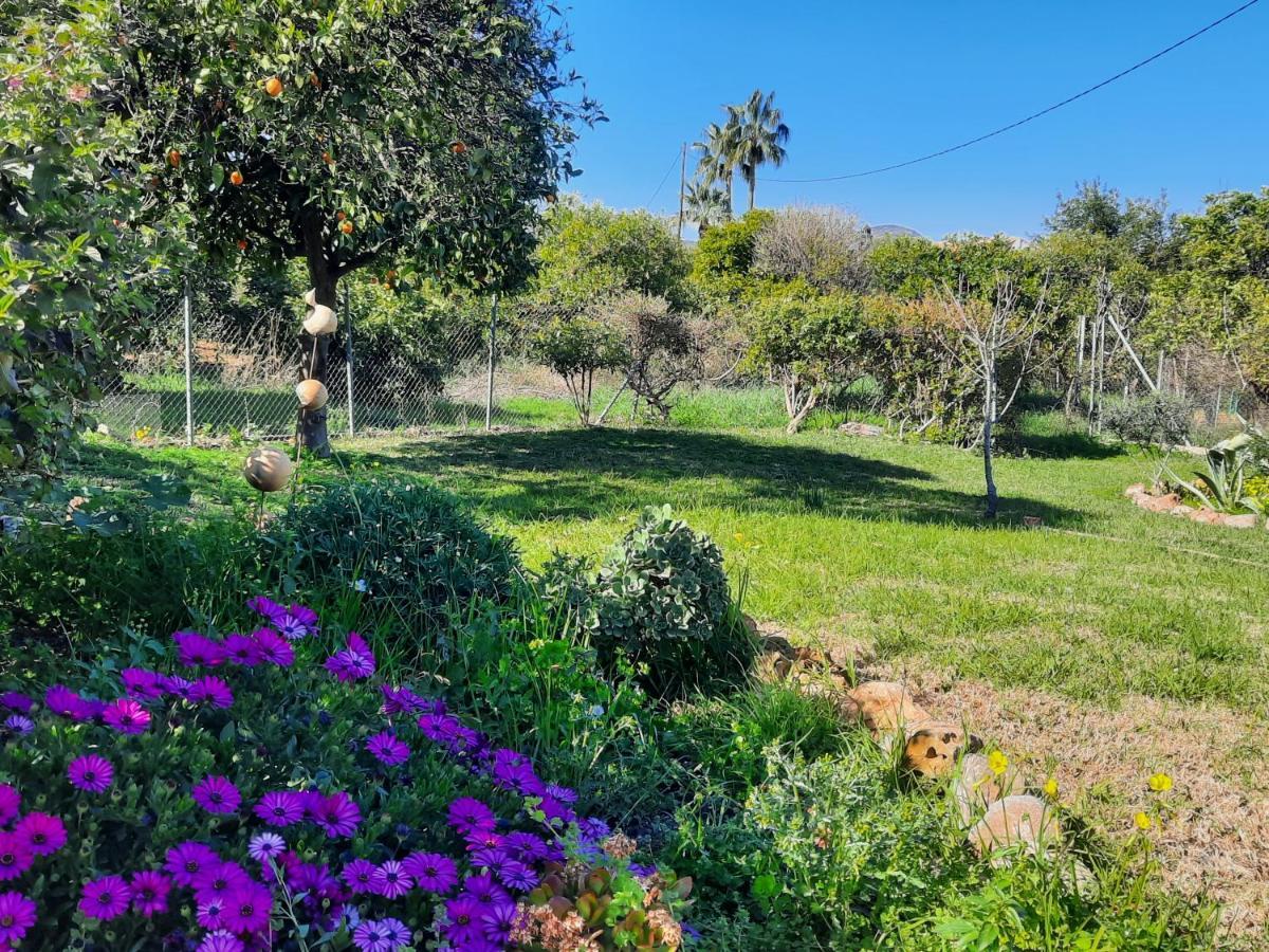 Bed & Breakfast Sueno De Vida