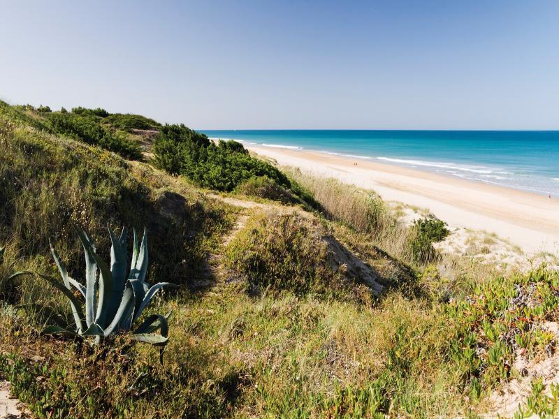 Riu Chiclana Hotel 4*