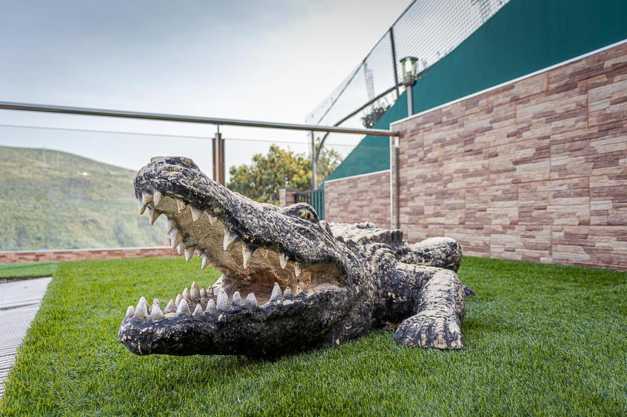 Caiman Apartment