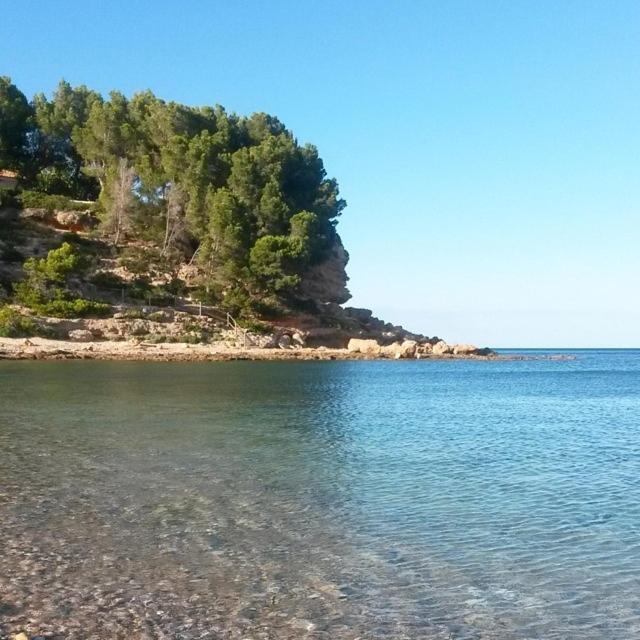 Apartment Roques Daurades Iii - Jardin Privado