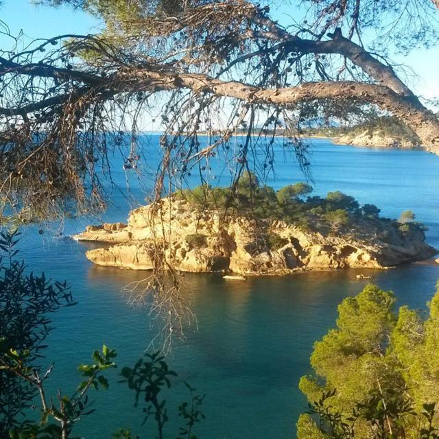 Roques Daurades Iii - Jardin Privado