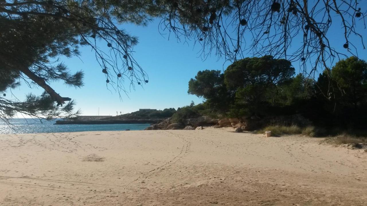 Roques Daurades Iii - Jardin Privado *