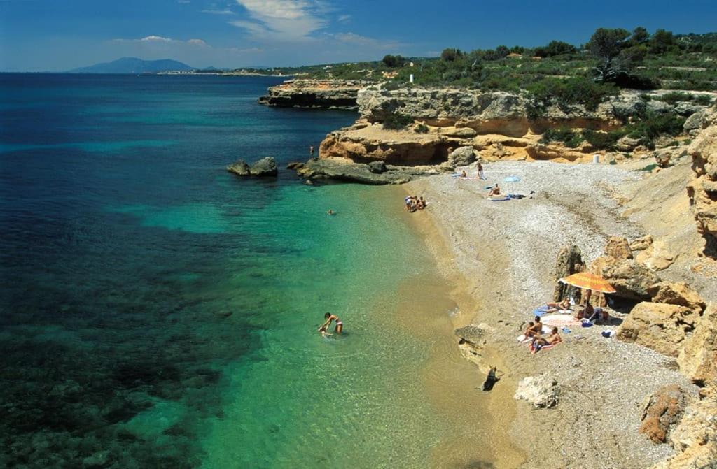 Roques Daurades Iii - Jardin Privado *