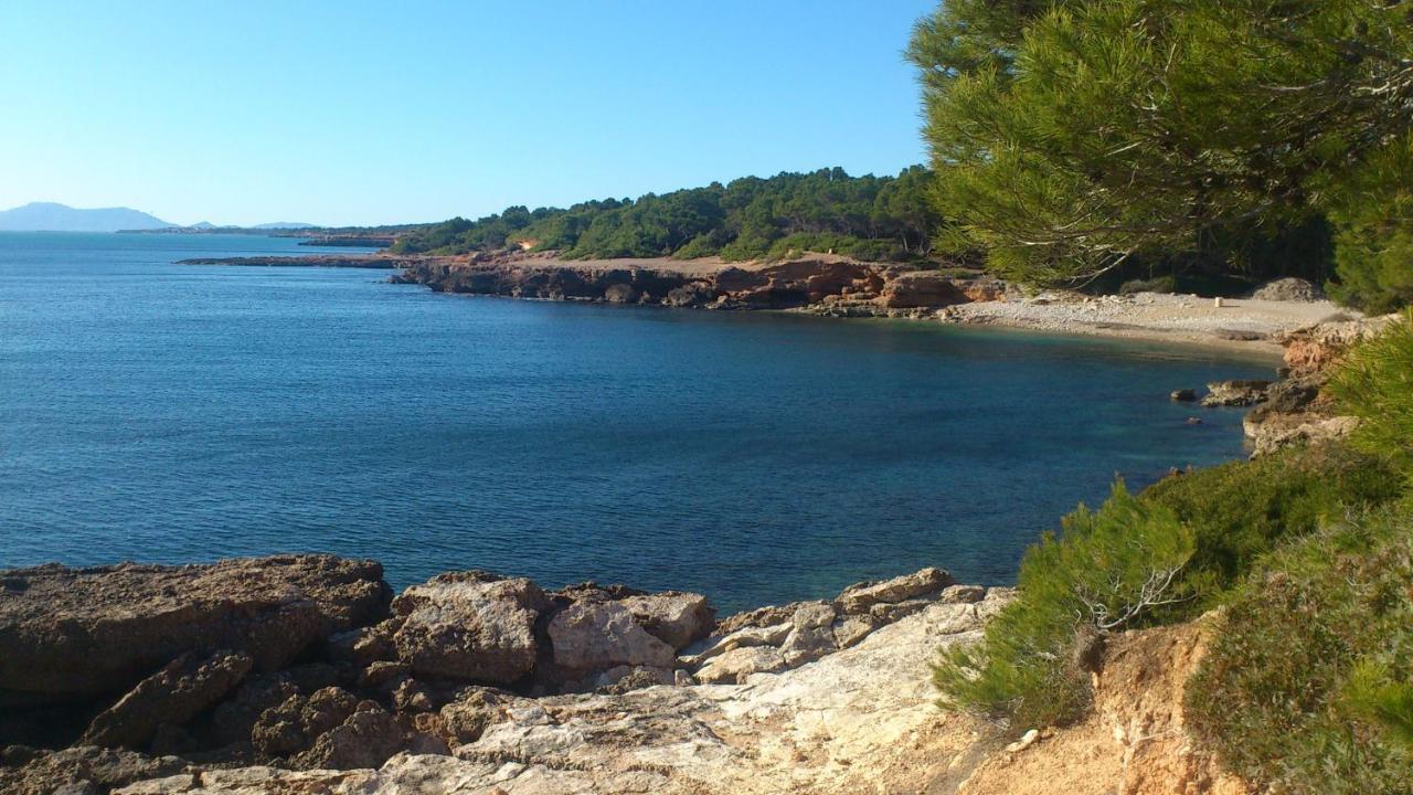 Roques Daurades Iii - Jardin Privado *