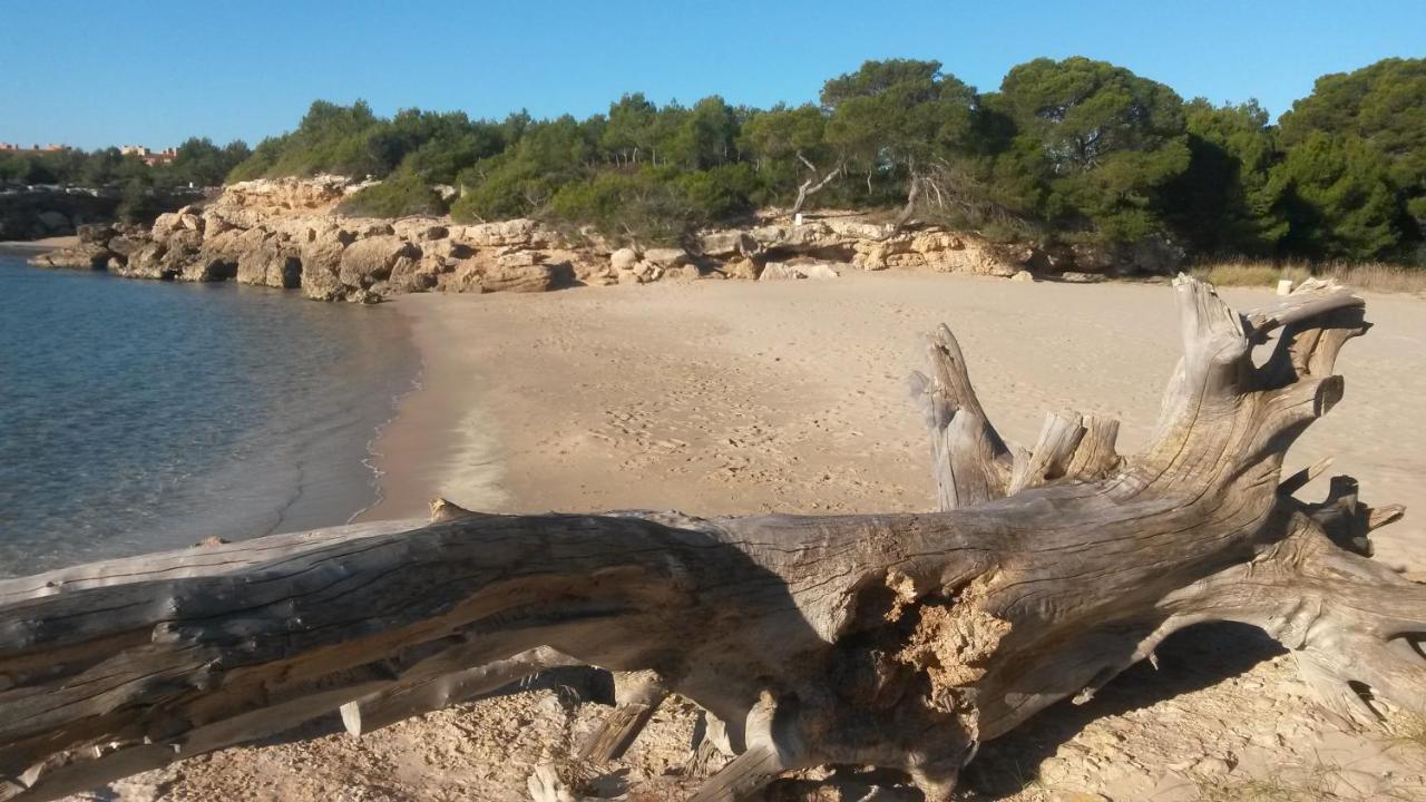 Roques Daurades Iii - Jardin Privado L'Ametlla de Mar
