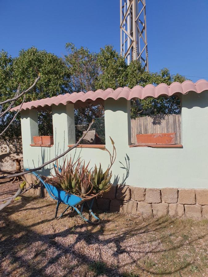 Casa Alex