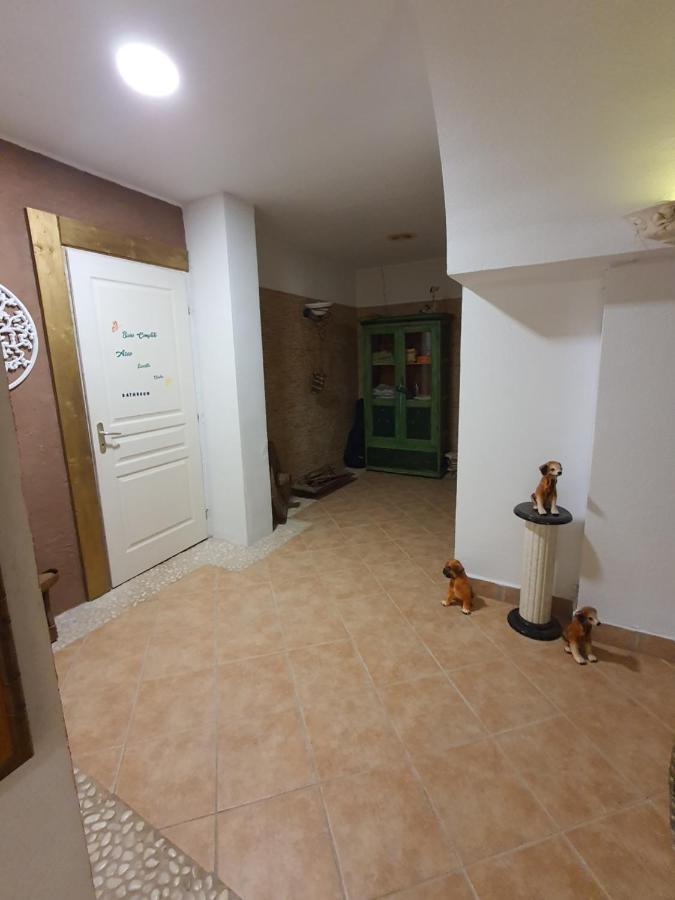 Casa Alex *