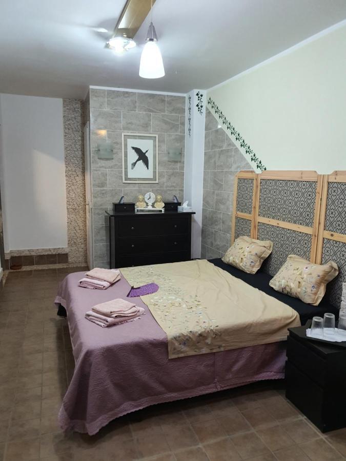 Casa Alex Lodge *