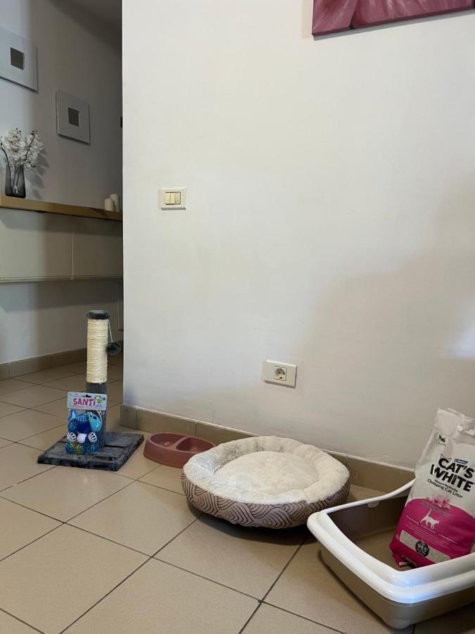 Apartamento Lost Paradise