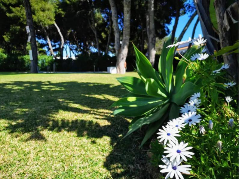 Apartamento ¡nuevo! Zona Tranquila Cerca De La Playa De La Carihuela Torremolinos