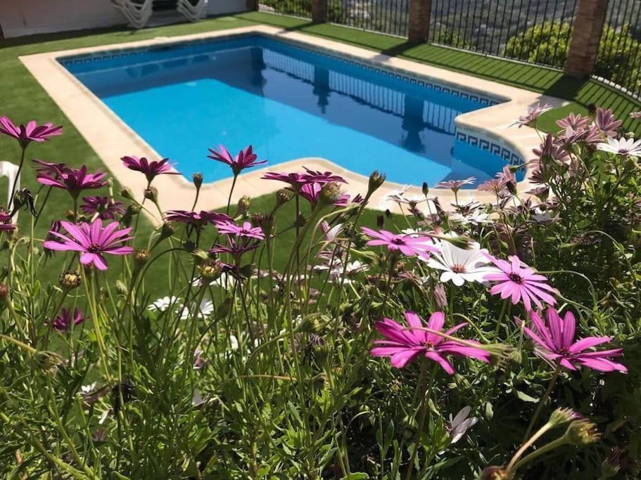 Сasa de vacaciones En Con Piscina Y Jacuzzi *