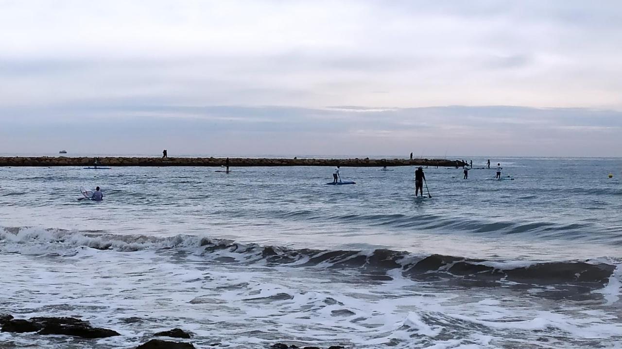Tamarindo Santa Pola