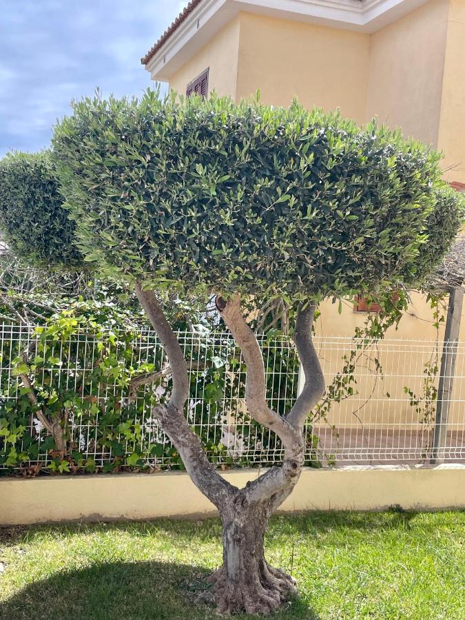 Holiday home Los Alamos Somhome Peniscola