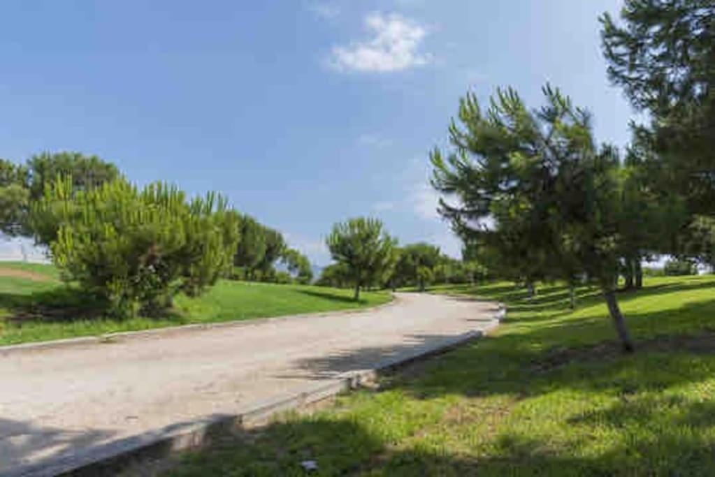 Lc Soler Blasco * Castellon de la Plana