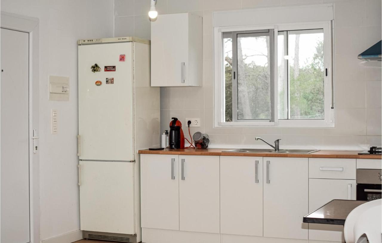Pet Friendly In With Kitchenette