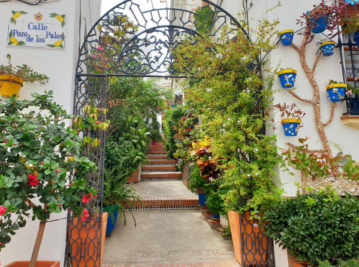 Casitamar Frontline House Casares Costa Near Estepona Holiday home Bahia de Casares
