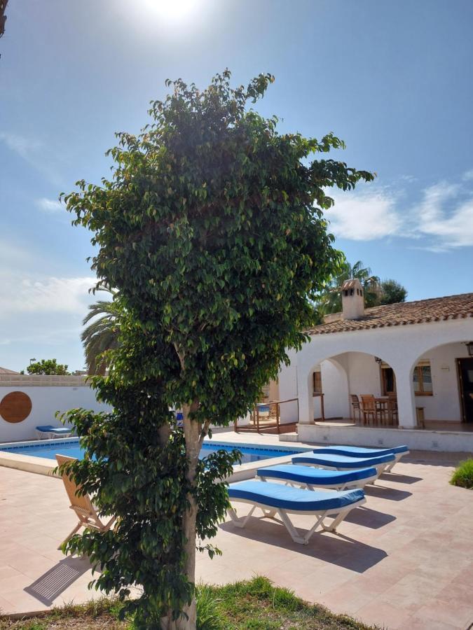 Zenia Hostal *