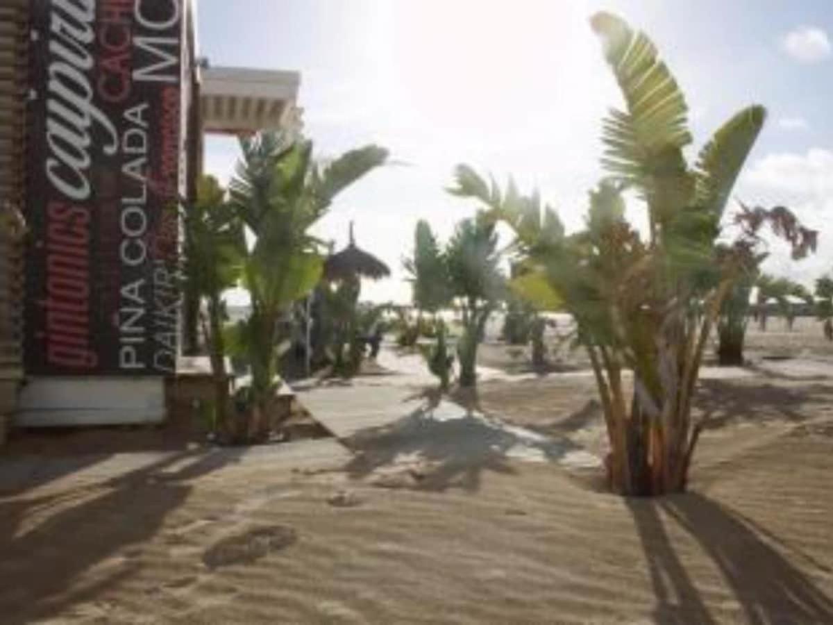 Primera Línea De Playa Terraza Y Vista Al Mar Apartamento *