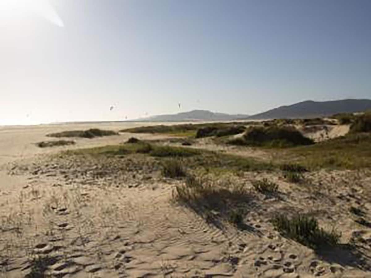 Los Silos By Lightbooking Apartamento Tarifa