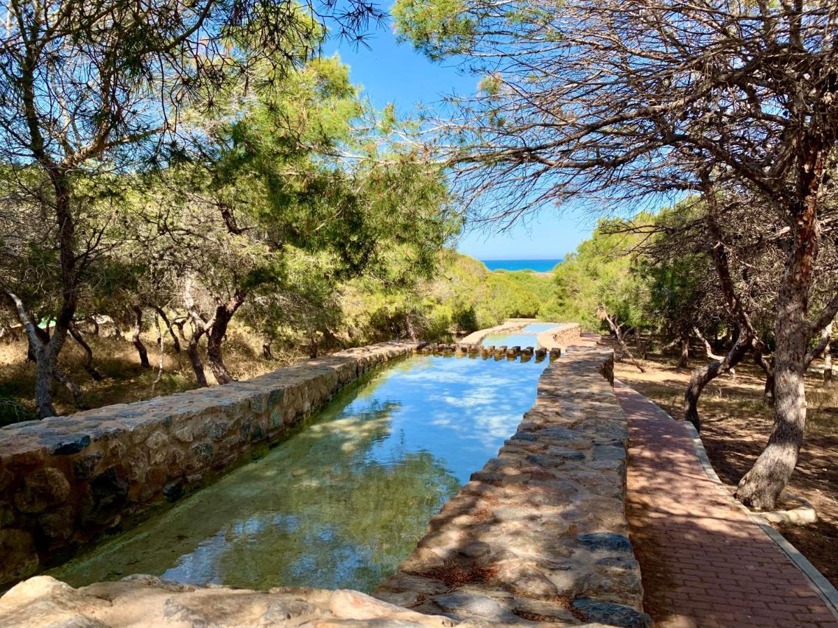Your Holidays In La Mata *