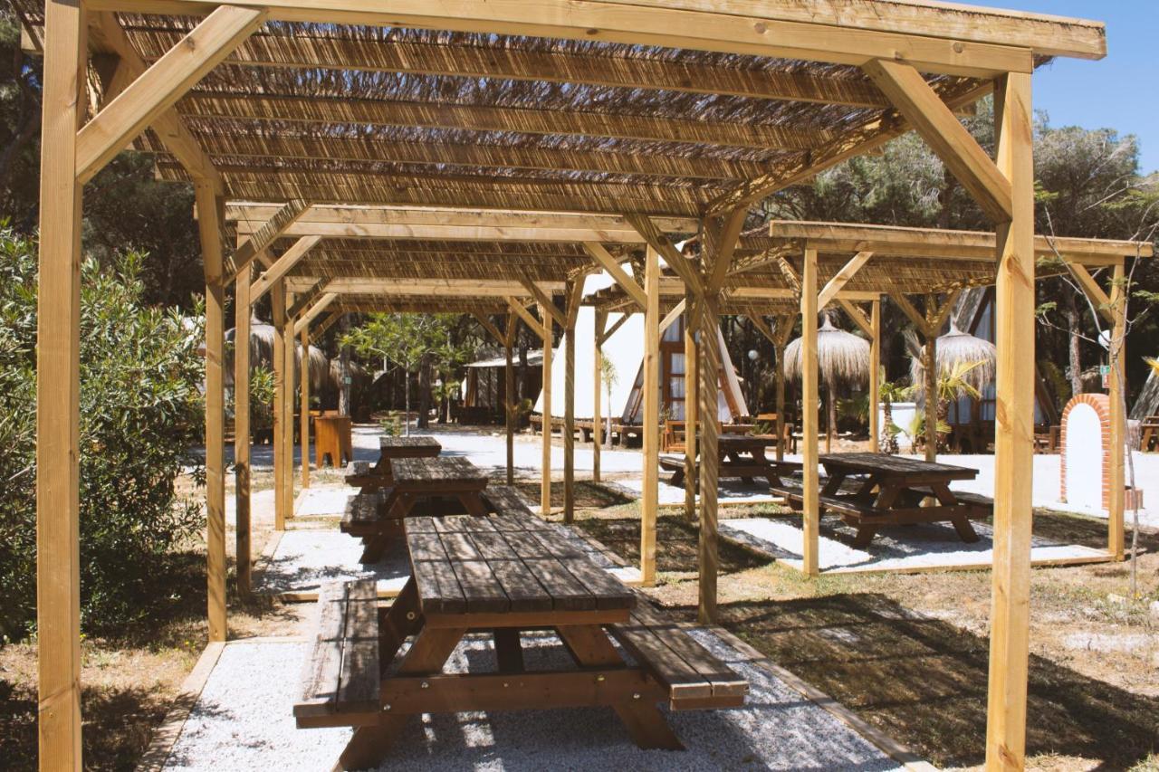 Taiga Conil Camping