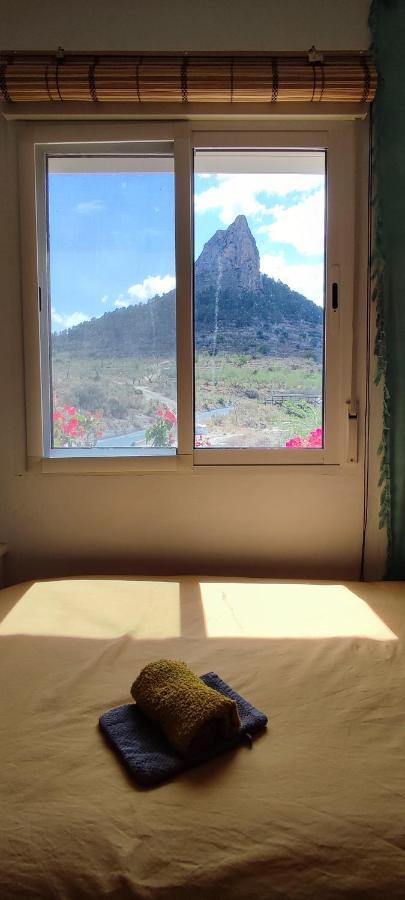 Casa Pura Vida