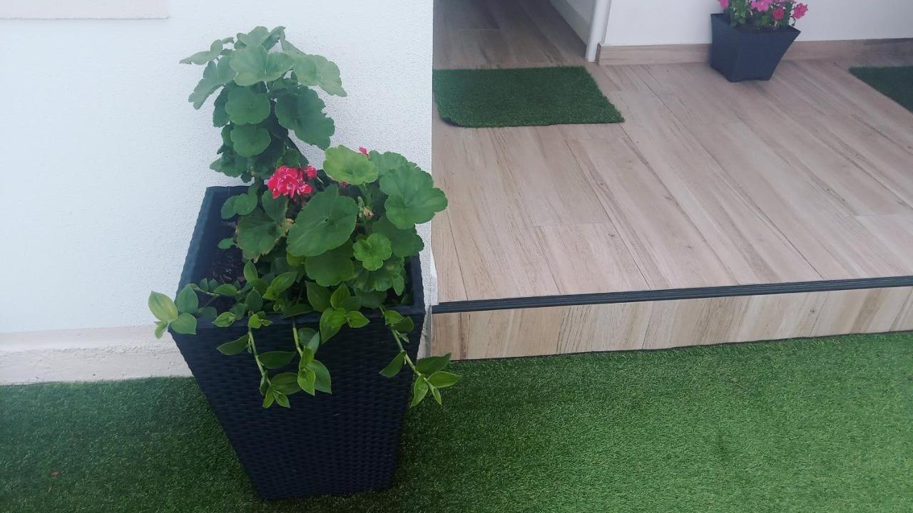 Apartamento Suances * Suances