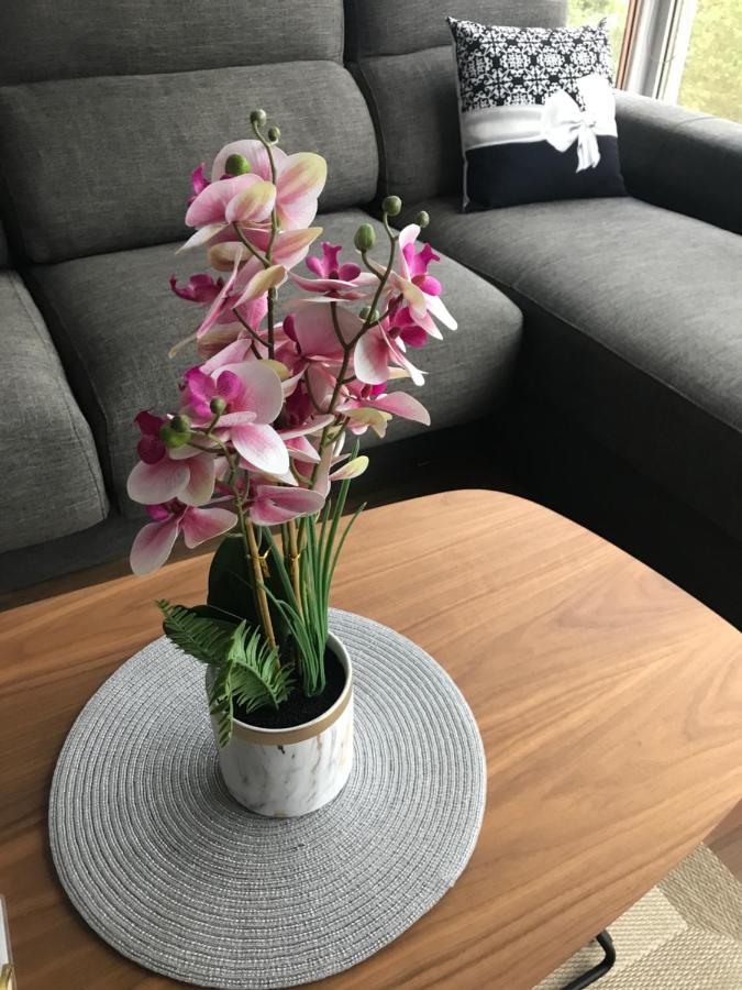 And Elegant Apartment. Apartamento Salt