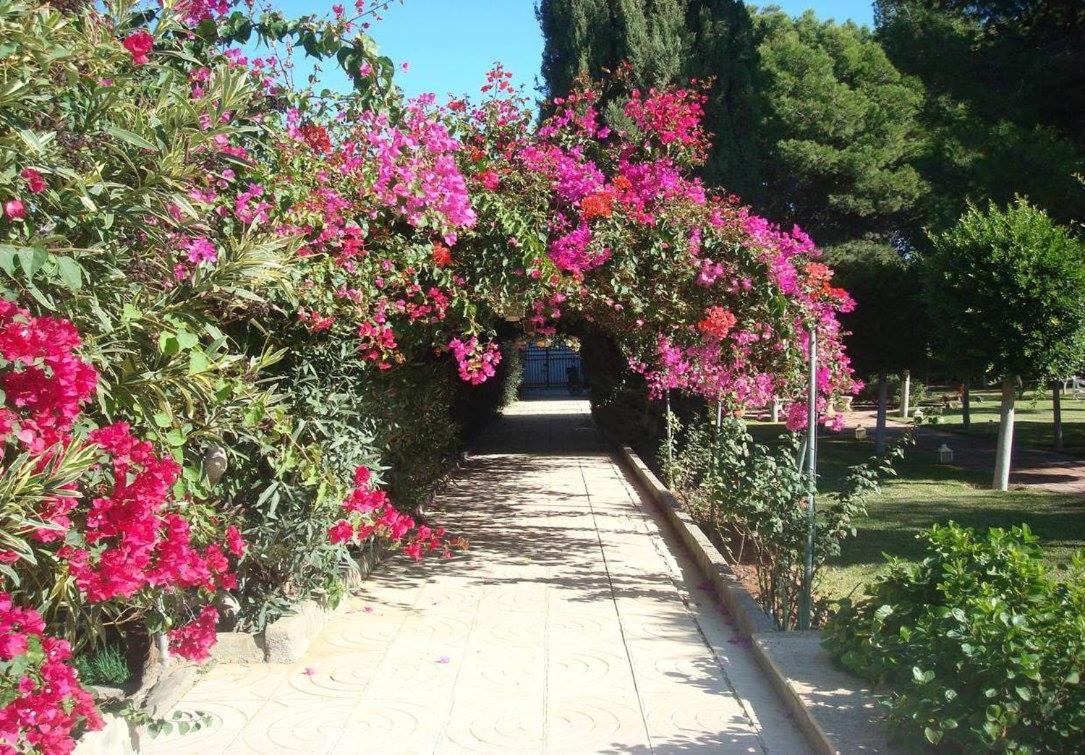 Villa Cortijo El Llano