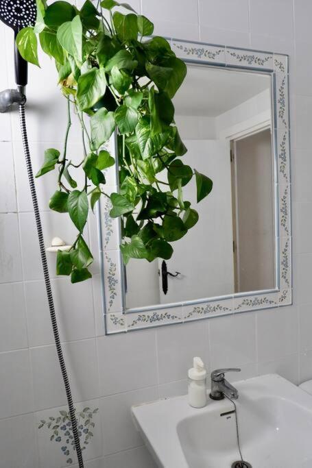 Apartamento Esther Apartment San Luis de Sabinillas