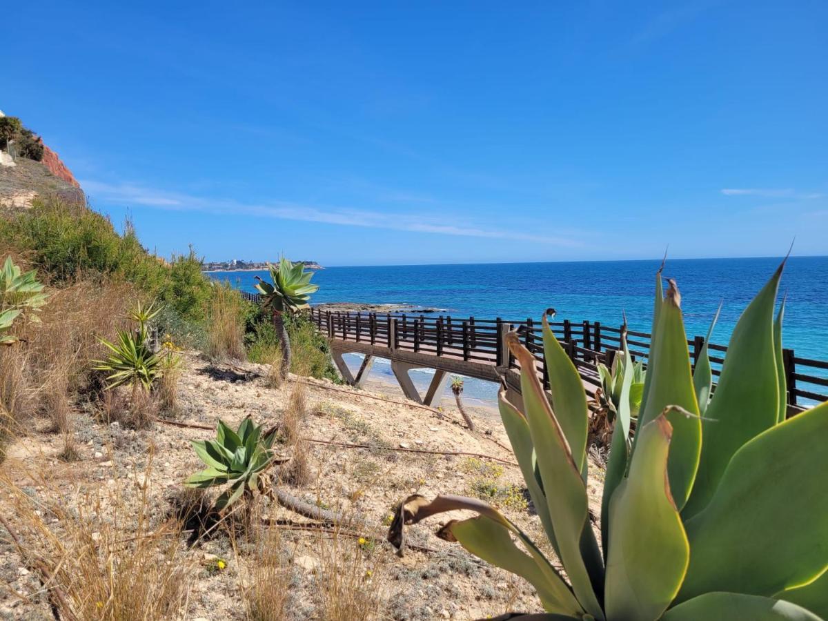 49 Laguna Torrevieja