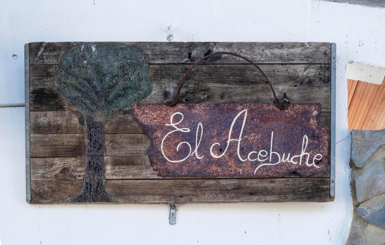 El Acebuche - Con Encanto - Pet Friendly