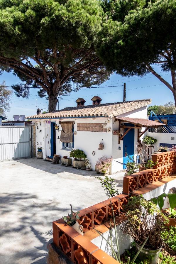 El Acebuche - Con Encanto - Pet Friendly Villa