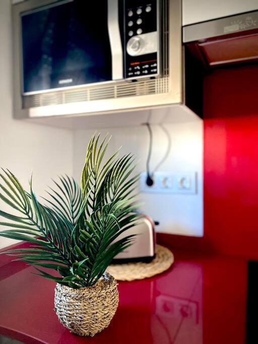 Apartment Mychoice Atticus By Bossh! Rota