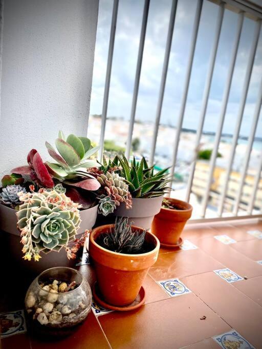 Mychoice America Apartamento