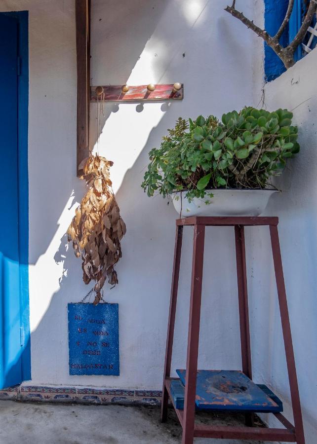 El Acebuche - Con Encanto - Pet Friendly
