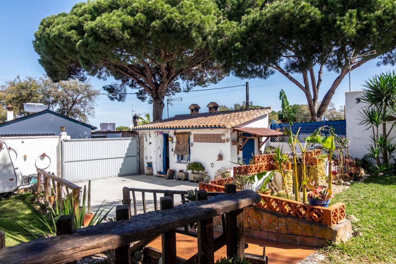 El Acebuche - Con Encanto - Pet Friendly Villa *