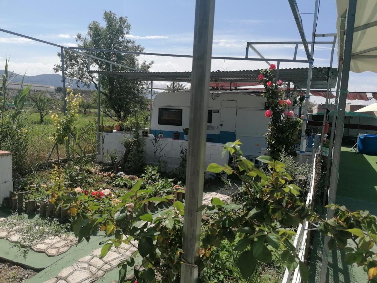 Caravanas Y Para Relajarse * Sax