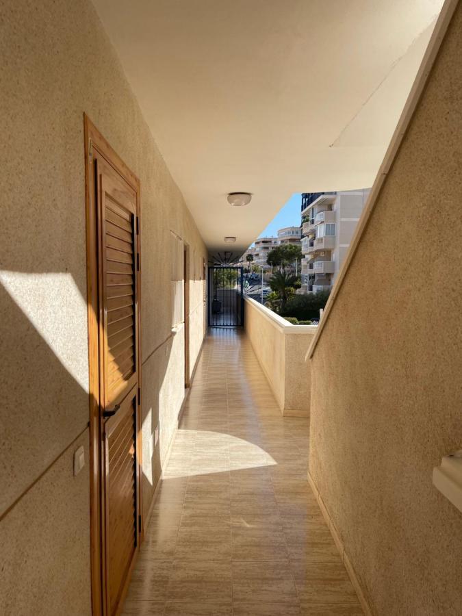Sea-view 3-bedroom Near Alicante Arenales del Sol