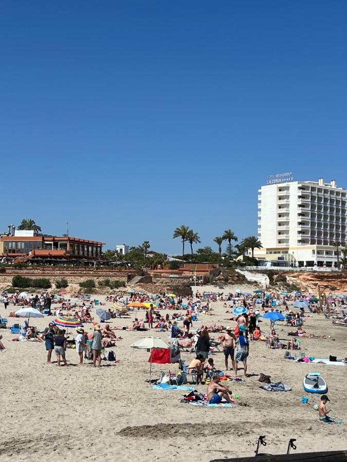Bright In Molino Blanco La Zenia *