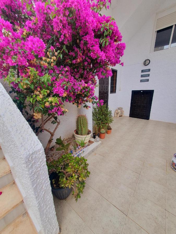 Casa Kasia Apartment La Mata (Torrevieja)