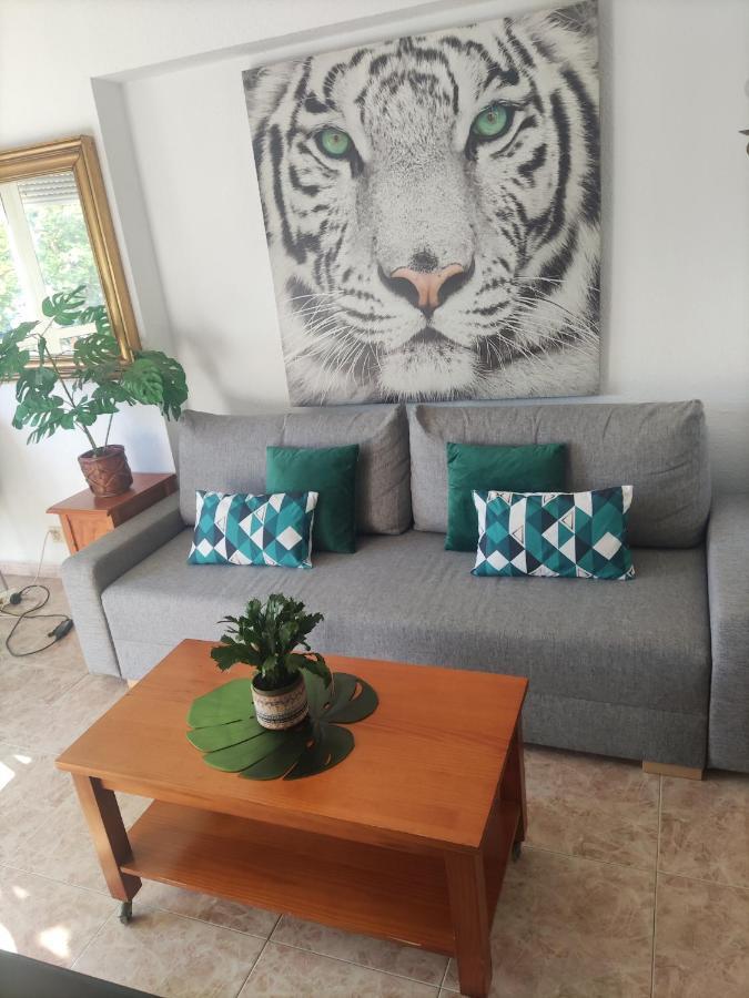 Piscis Apartment