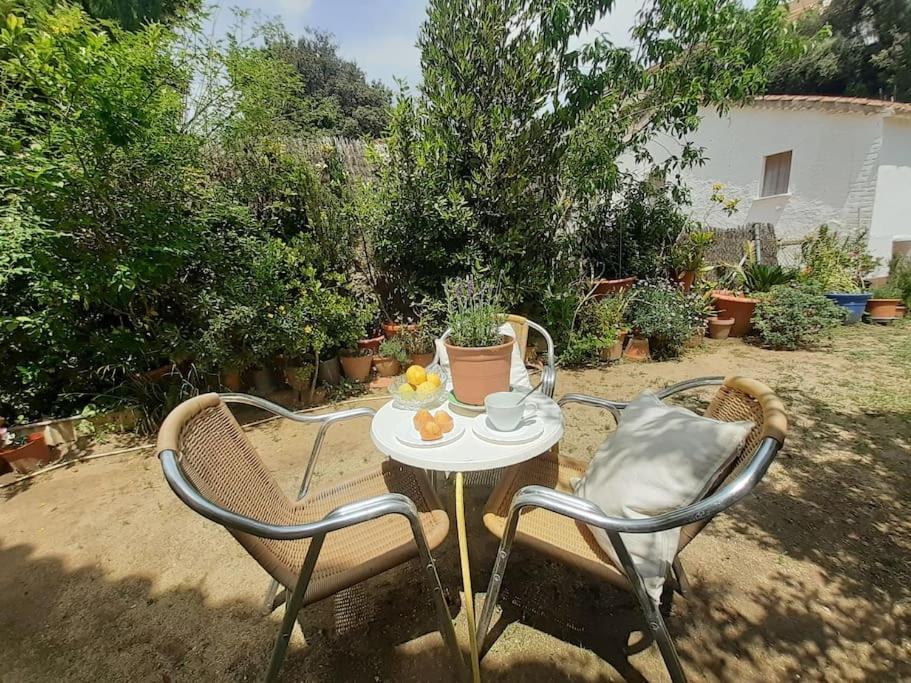 Apartment Maresme's Corner