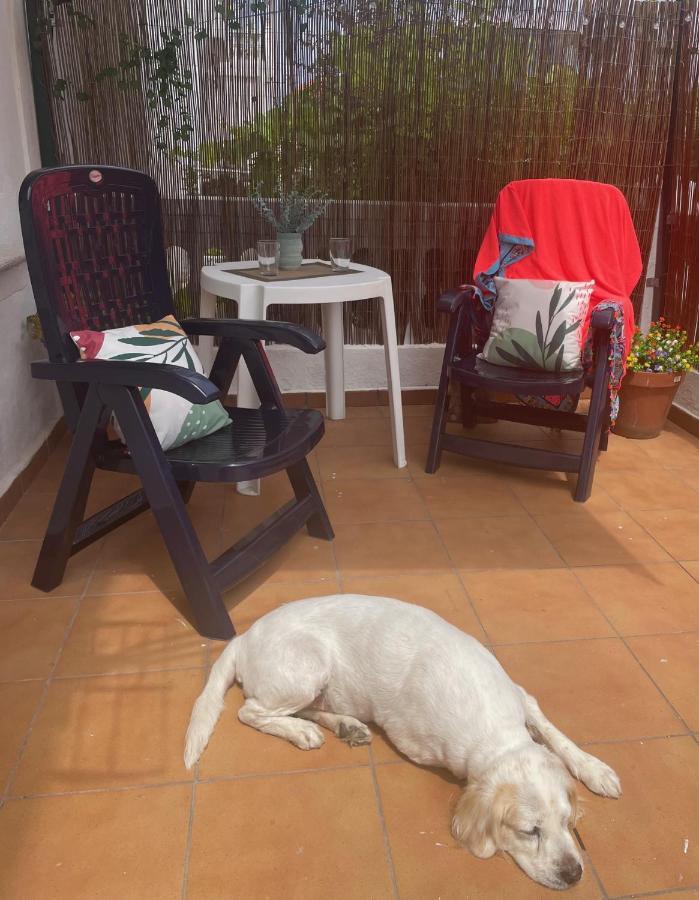 Apartamento Flori, Con Terraza Y A 300 M De La Playa En Suances, Cantabria *