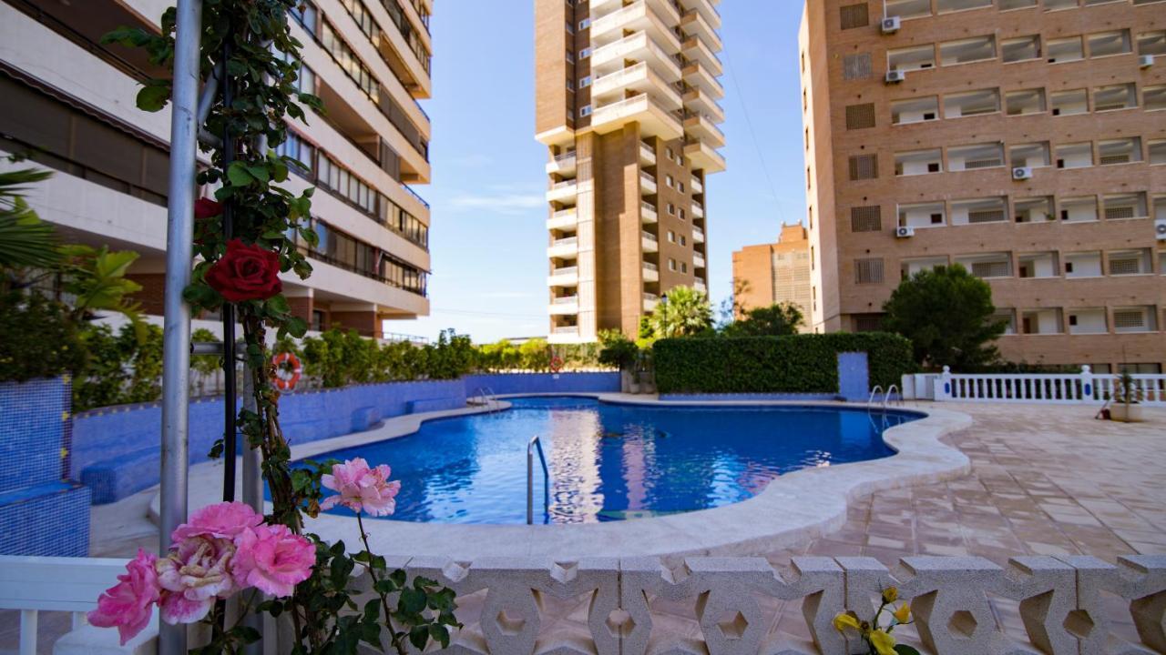 Amazing Panoramic View Trinisol 2 * Benidorm