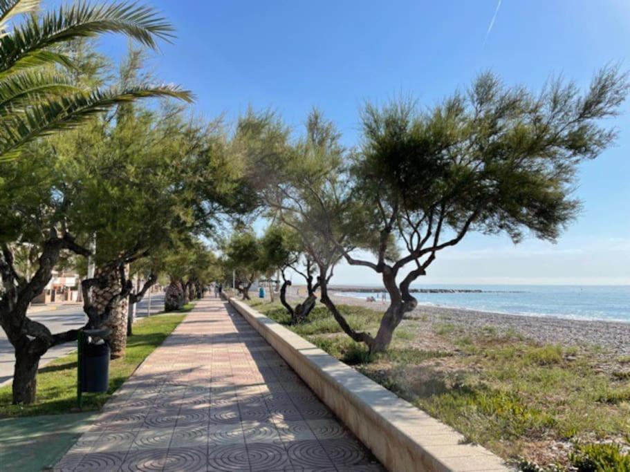 3-bedroom With Terrace On Ground Floor * Moncofa (Moncófar)